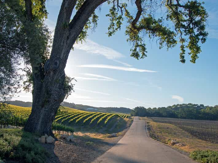 Paso Robles Sidecar Winery Tour With Tastings Getyourguide 6836