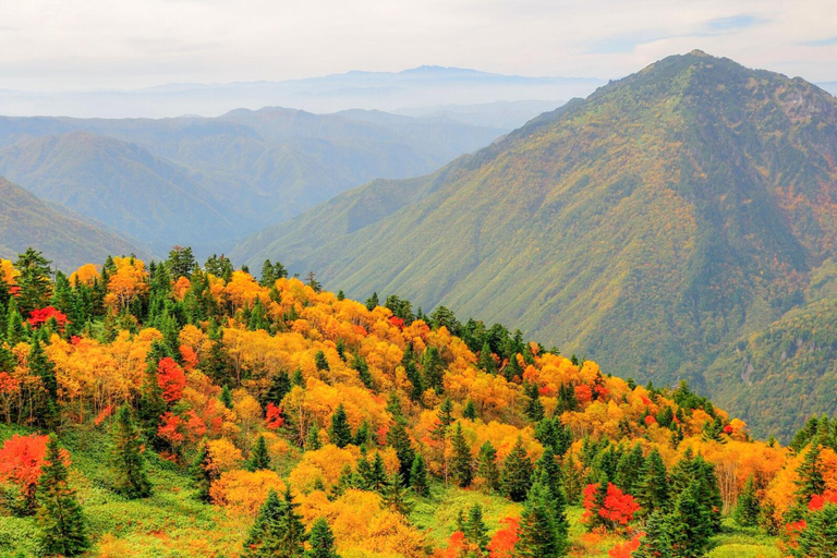 Desde Takayama: Teleférico de Shinhotaka y excursión a Kamikochi