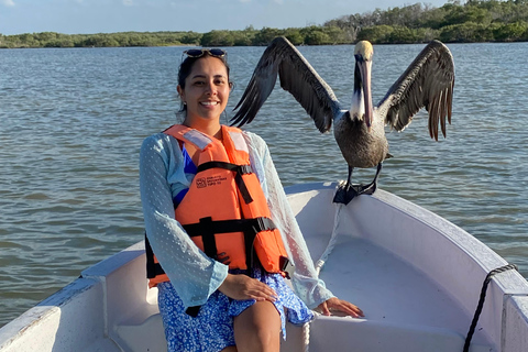 Natuurbelevenis Rio Lagartos en Las Coloradas.