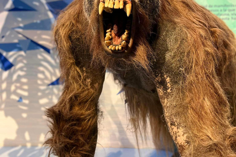 TOUR: "Dinosaur museum" with guide, transfer and tickets Monterrey: Desert Museum Tour