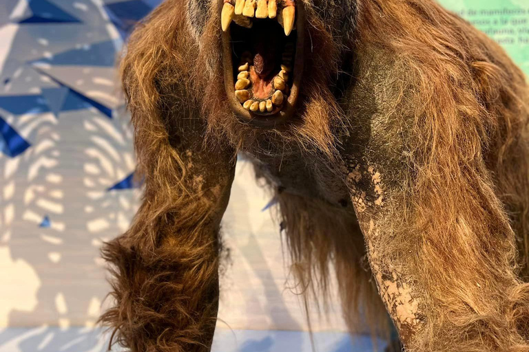 TOUR: "Dinosaur museum" with guide, transfer and tickets Monterrey: Desert Museum Tour