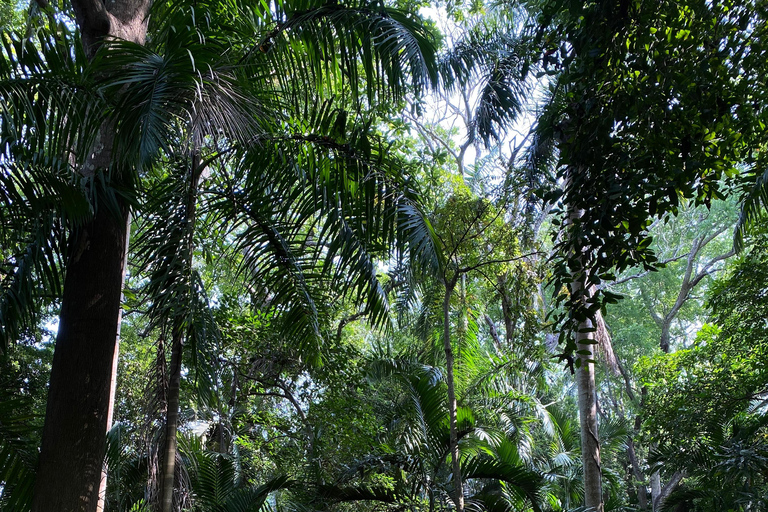 Cartagena: Guided Experience in the Botanical Garden