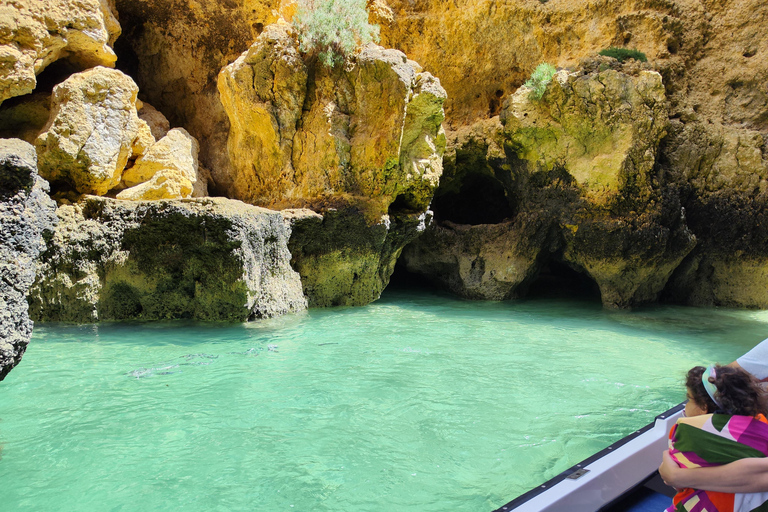 Lagos: tour della costa di Ponta da PiedadeTour di gruppo condiviso