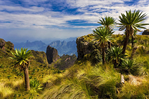 4-dniowa wędrówka po górach Simien z lotami