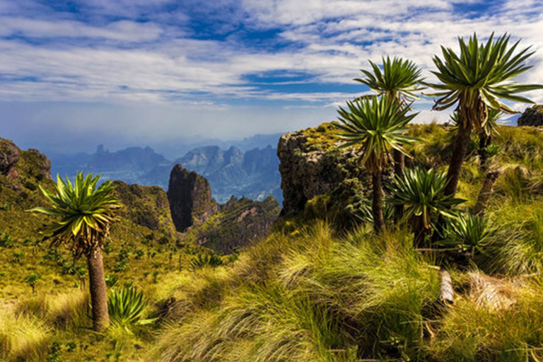 4-dniowa wędrówka po górach Simien z lotami