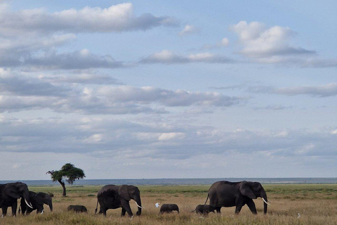 3 Days & 2 Nights Amboseli National Park With 4*4 Vehicle