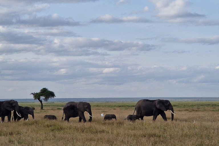 3 Days & 2 Nights Amboseli National Park With 4*4 Vehicle