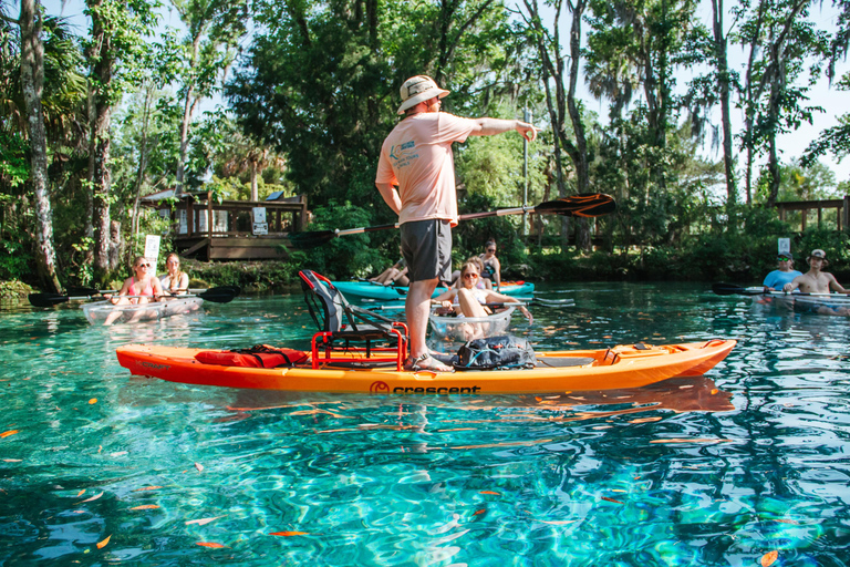 Crystal River: Three Sisters Spring Manatee Clear Kayak Tour