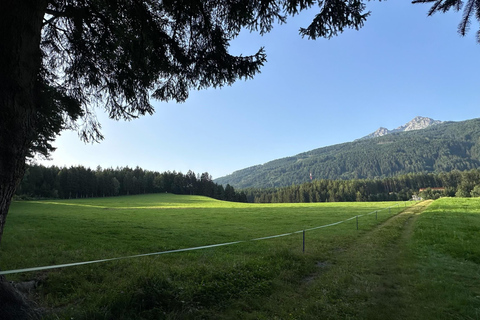 La forêt comme salle d&#039;évasion pour toute la famille