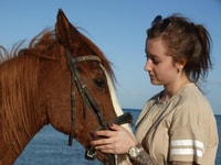 Hurghada , due ore di sole & mare Equitazione con trasferimenti - Hizvo