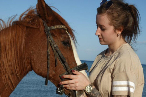 Hurghada: Tour a cavallo nel deserto e nel mare con trasferimento