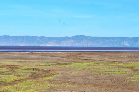 ARUSHA: 8-Day Mount Meru Trekking & Northern Circuit Safari Mt. Meru Trekking + Norhern Circuit safari