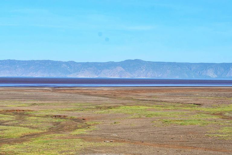 ARUSHA: 8-Day Mount Meru Trekking & Northern Circuit Safari Mt. Meru Trekking + Norhern Circuit safari