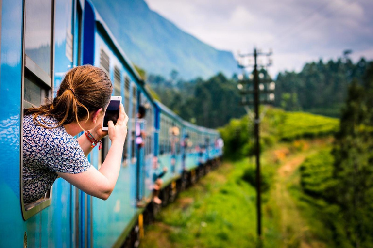 2 dagen in Sri Lanka: All-inclusive rondreis naar Ella en Kandy met 4-sterren hotel