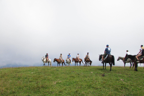 1 Day Horse Riding Adventure in Borjomi Mountains1 day horse riding adventure in Borjomi National Park