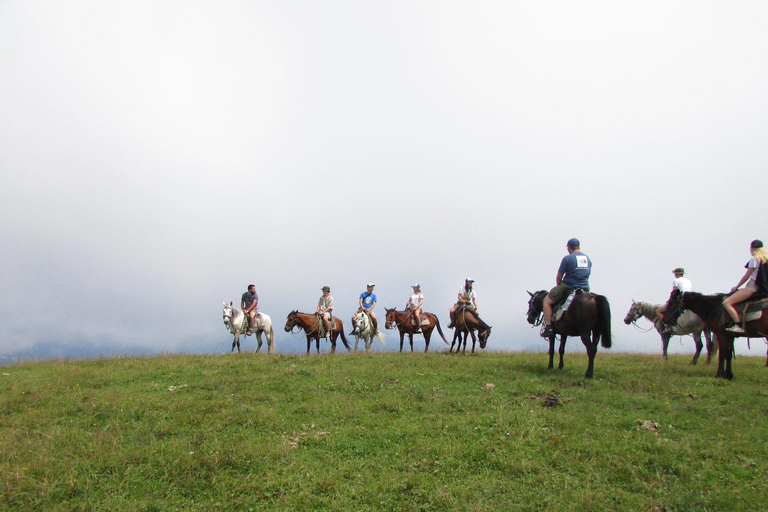 1 Day Horse Riding Adventure in Borjomi Mountains 1 day horse riding adventure in Borjomi National Park