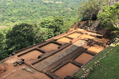From Colombo: Dambulla, Sigiriya, and Jeep Safari Day Trip
