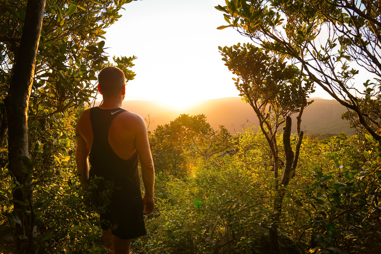 Maurice : randonnée guidée dans les gorges de la Rivière NoireMaurice : Randonnée guidée dans les gorges de la Rivière Noire