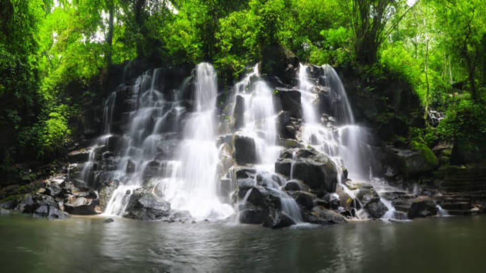 Bali Ubud Apenbos Ubud Waterval GetYourGuide