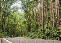 Iloilo Guimaras Inland Tour (Joiners Tour) - Housity