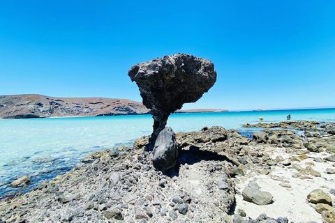 From Cabo/San José del Cabo: La Paz, Balandra & Todos Santos