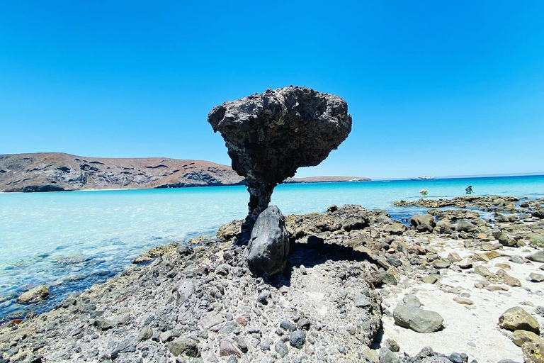 From Cabo/San José del Cabo: La Paz, Balandra & Todos Santos