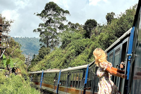 Bentota: Ella Tagestour mit Zugfahrt und Wasserfallbesuch