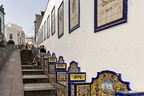 Visite du nord de la Grande Canarie et du jardin botanique