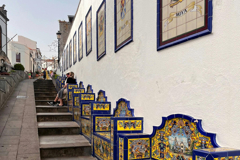 Visite du nord de la Grande Canarie et du jardin botanique
