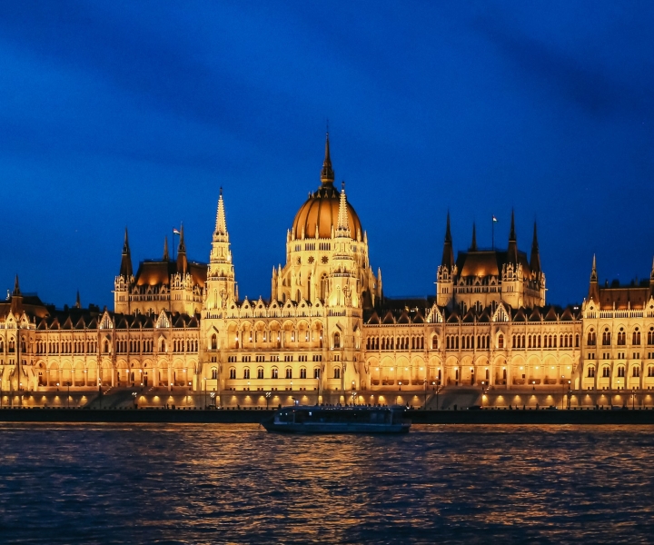 Budapest: crociera fluviale serale di 1 ora con bevanda