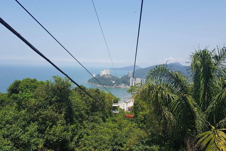 Excursion privée à Santos : Excursion d'une journée dans la villeExpérience privée jusqu'à 3 personnes