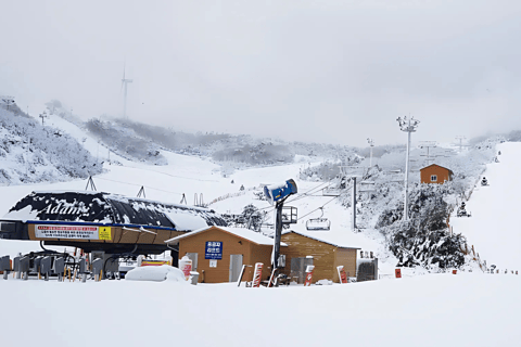 Busan: escursione di un giorno alla stazione sciistica Eden Valley con noleggio dell&#039;attrezzaturaTour in slitta (3 anni▲)