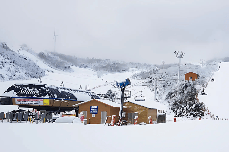 Busan: Viagem de 1 dia à estância de esqui de Eden Valley com aluguer de equipamentoPasseio de trenó (3 anos▲)