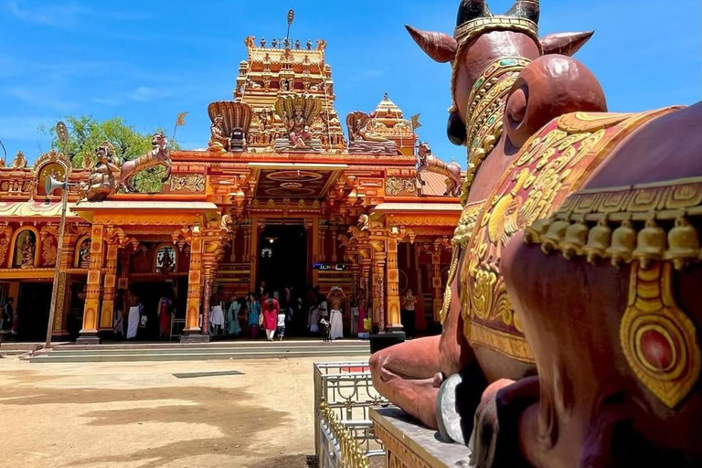 From Colombo: Jaffna Private Transfer with Scenic Stops