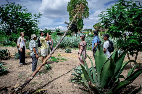 Oaxaca: Mezcal Distillery Tour mit Verkostungen