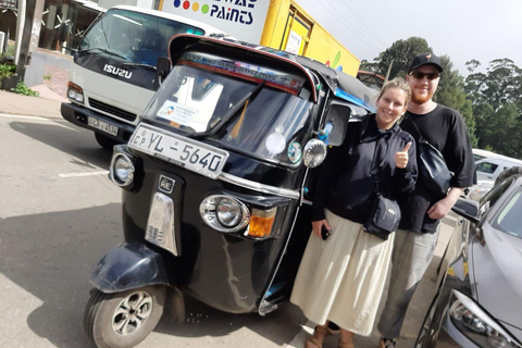 康提：嘟嘟车城市观光（含导游）康提：嘟嘟车城市观光私人之旅（含导游）
