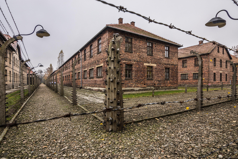 Von Krakau aus: Auschwitz-Birkenau Guided Tour &amp; Abholung OptionenTour auf Spanisch mit Abholung vom Hotel