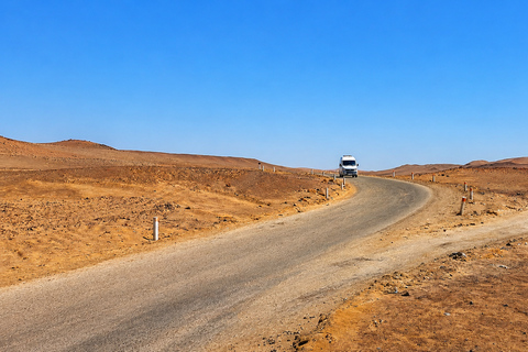 Paracas National Reserve Group Tour from Paracas