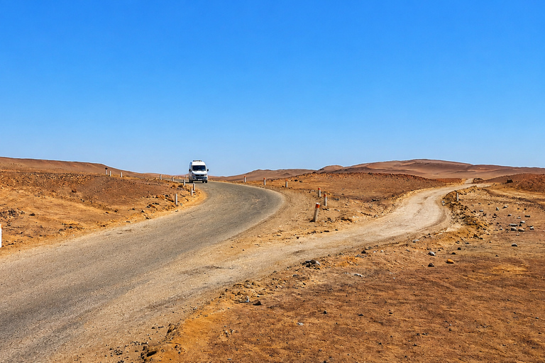 Paracas National Reserve Group Tour from Paracas
