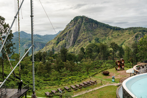 Ella: 1-Day Scenic 6-Highlights & Adventure Tuk-Tuk Tour