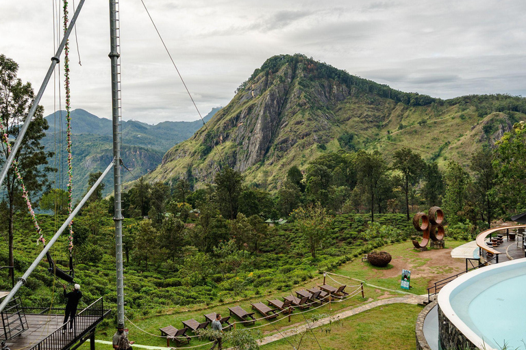 Ella: 1-Day Scenic 6-Highlights & Adventure Tuk-Tuk Tour