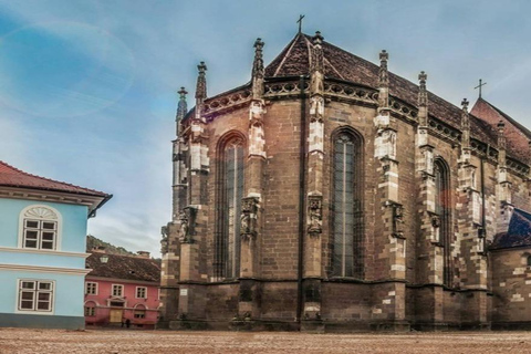 Bucharest: Bear Sanctuary and Brasov Small-Group Tour