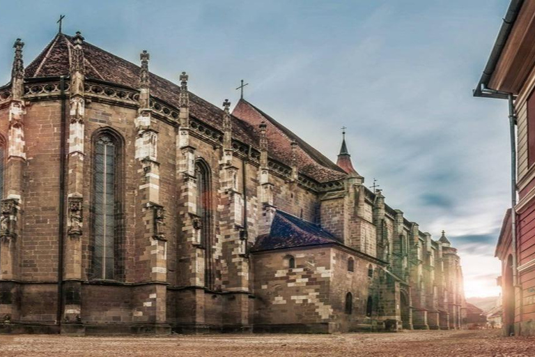 Bucharest: Bear Sanctuary and Brasov Small-Group Tour