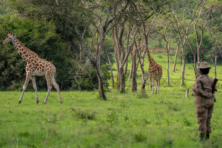 From Kampala: 8-Day Uganda Safari Tour with Transfers