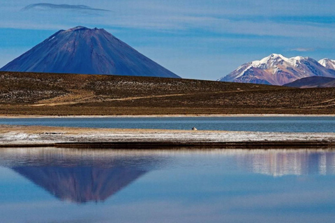 AREQUIPA|| Excursion 1DAY Laguna de Salinas+Hot springs