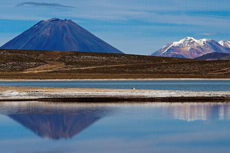 AREQUIPA|| Excursão de 1 dia Laguna de Salinas + Fontes termais