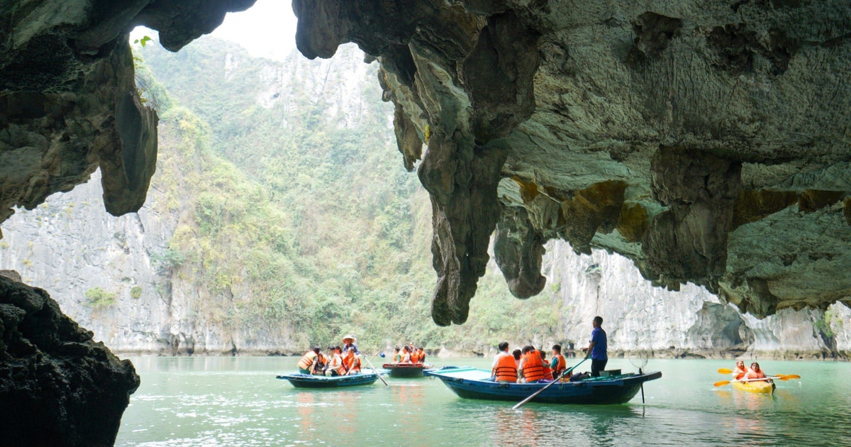Ha Long Bay: 4-Hour Cruise with Caving, Kayaking, & Lunch