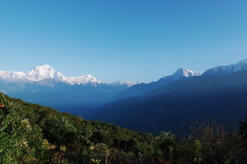 Pokhara: 5-dniowa wędrówka po Ghorepani i Poon Hill przez Ghandruk