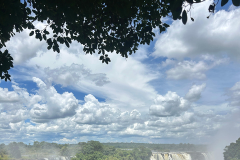 Victoria Falls: Guided Tour with Big Tree & Market Visit