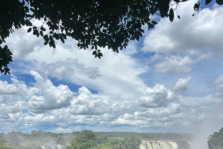 Victoria Falls: Guided Tour with Big Tree & Market Visit